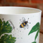 Decorative Ceramic Herb Pot, thumbnail 4 of 5