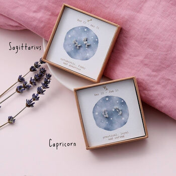Star Sign Constellation Earrings Studs, 8 of 9