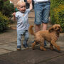 Personalised 'Age One' Birthday T Shirt, thumbnail 4 of 4