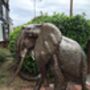 Elephant Two Foot Metal Sculpture, thumbnail 5 of 7