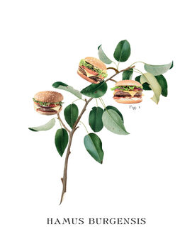 Vintage Style Botanical Burger Print, 6 of 10