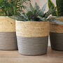 Seagrass Baskets Natural And Grey, thumbnail 4 of 4