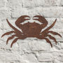 Metal Crab Sculpture Wall Art, thumbnail 1 of 1