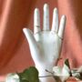 Decorative Fortune Teller Palmistry Hand, thumbnail 6 of 6