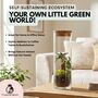 Fully Assembled Bonsai Terrarium Gift | 'Tokyo', thumbnail 3 of 9