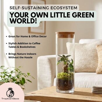 Fully Assembled Bonsai Terrarium Gift | 'Tokyo', 3 of 9