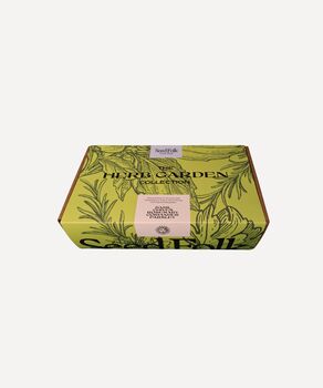 The Herb Garden Grow Your Own Gift Box, 2 of 9