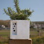 Beepot Mini Bee Hotel And Planter, thumbnail 8 of 10