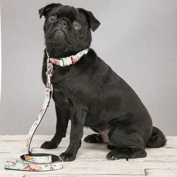 The Barnes Blue Floral Dog Collar And Lead Set, 5 of 5