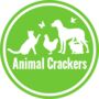 Jack Russell Terrier Ceramic Salt And Pepper Shaker Set, thumbnail 7 of 7