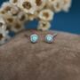 Sterling Silver Tiny Green Opal Stud Earrings, thumbnail 5 of 12