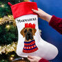 Personalised Party Dog Christmas Present Stocking, thumbnail 2 of 12