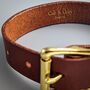 Luxury Leather Dog Collar And Matching Lead Set Brown, thumbnail 3 of 12