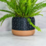 Carbon Honeycomb Planter, thumbnail 2 of 4
