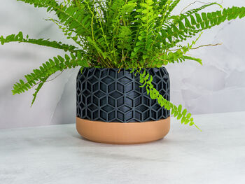 Carbon Honeycomb Planter, 2 of 4