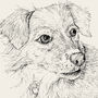 Personalised Pet Line Drawing, thumbnail 7 of 12