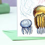 Jellyfish Of Britain Greeting Card, thumbnail 5 of 8