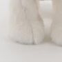 Puppy Dog Saint Bernard Soft Toy With Gift Packaging, thumbnail 7 of 7