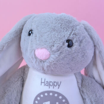 Personalised 1st Birthday Soft Bunny Toy, 2 of 4