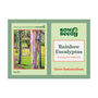 Rainbow Eucalyptus Grow Kit, thumbnail 4 of 4