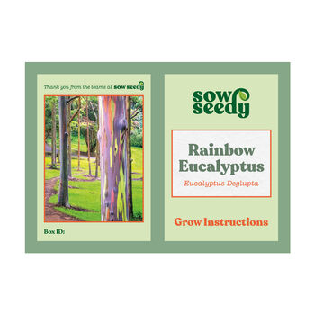 Rainbow Eucalyptus Grow Kit, 4 of 4