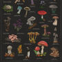 Vintage Noir Mushroom Print, thumbnail 7 of 9
