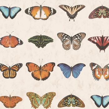 Lepidoptera Natural Wallpaper, 3 of 3