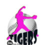 Softball Personalised Sport Poster, thumbnail 4 of 5