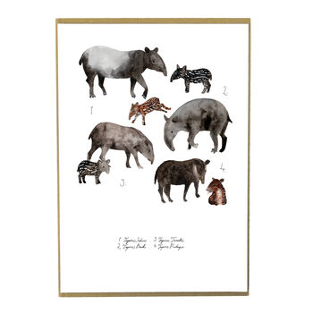 Candle Of Tapirs A4 Art Print, 3 of 8