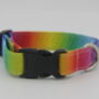 Rainbow Ombre Dog Collar, thumbnail 1 of 9