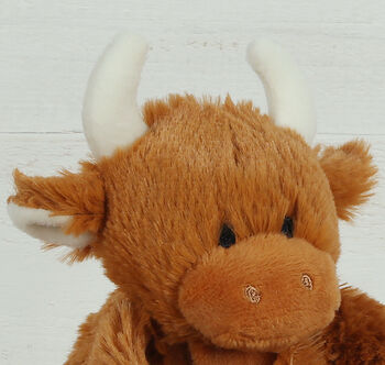 Scottish Highland Cow Brown Toy Soother, Boxed, 7 of 12