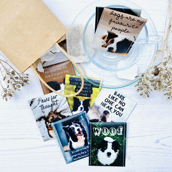 Border Collie Lovers Tea Gift Set, 8 of 12