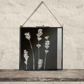 Collection Of Three Monochrome Dried Flower Art Prints, 3 of 9