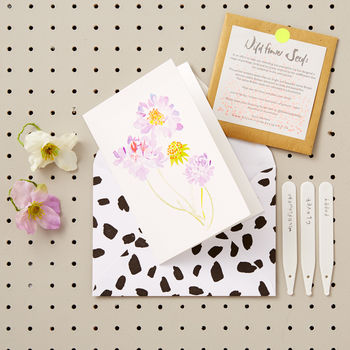 Candytuft Mother's Day Card With Wildflower Seeds, 3 of 9