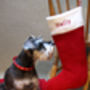 Personalised Pet Christmas Stocking, thumbnail 2 of 9