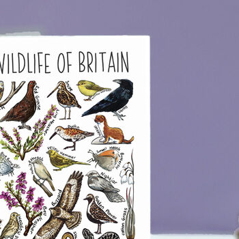 Moorland Wildlife Of Britain Greeting Card, 8 of 8