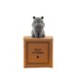 Hippo Birthday Tiny Little Gifts, thumbnail 3 of 3