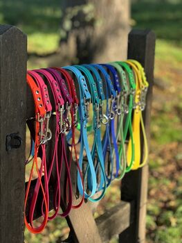 Biothane® Waterproof Dog Lead, 6 of 9