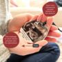 Personalised Baby Ultrasound Christmas Decoration, thumbnail 2 of 4
