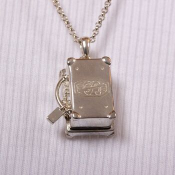 Fantastic Beasts Sterling Silver Newts Case Locket With Nifler Pendant, 4 of 7