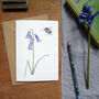 Bluebell Mug And Coaster Gift Set, thumbnail 6 of 6