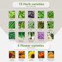 Grow Your Own Gardening Kit With 75 Seed Varieties, thumbnail 5 of 8