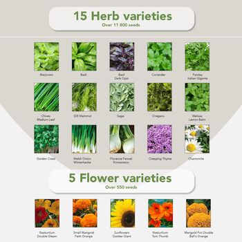 Grow Your Own Gardening Kit With 75 Seed Varieties, 5 of 8
