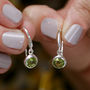 Birthstone Gemstone Hook Earrings In Sterling Silver, thumbnail 2 of 8