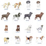 Personalised Dog Breed Change Of Address Cards, thumbnail 4 of 6