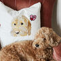 Personalised Pet Embroidered Cushion Cover, thumbnail 1 of 5