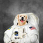 Pet Art Print From Your Photo, thumbnail 2 of 6