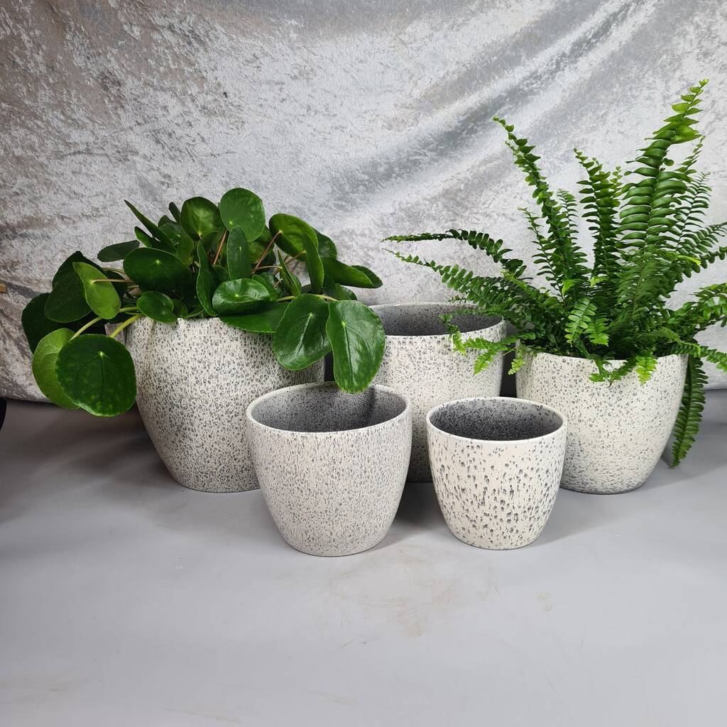 Speckled Egg Planters, 1 of 4