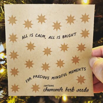 Mindful Moments Christmas Seed Set, 5 of 9