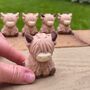 Chocolate Highland Cows, thumbnail 1 of 3